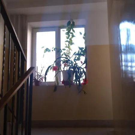 Marsel Dobrovelychkivka